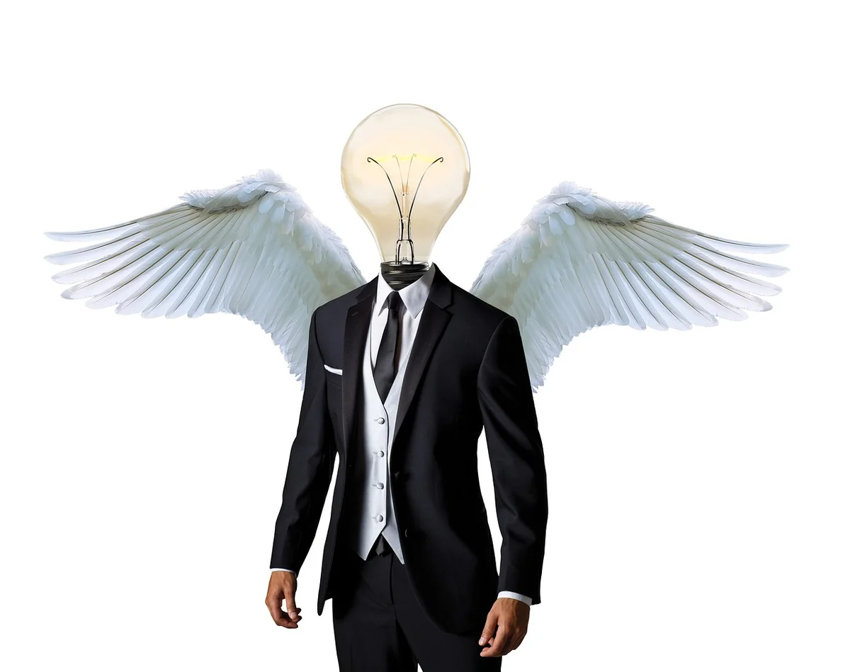 2. Business angels : trouver le bon oiseau rare